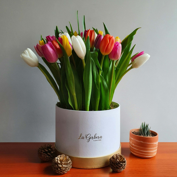 Box circular grande con 35 tulipanes