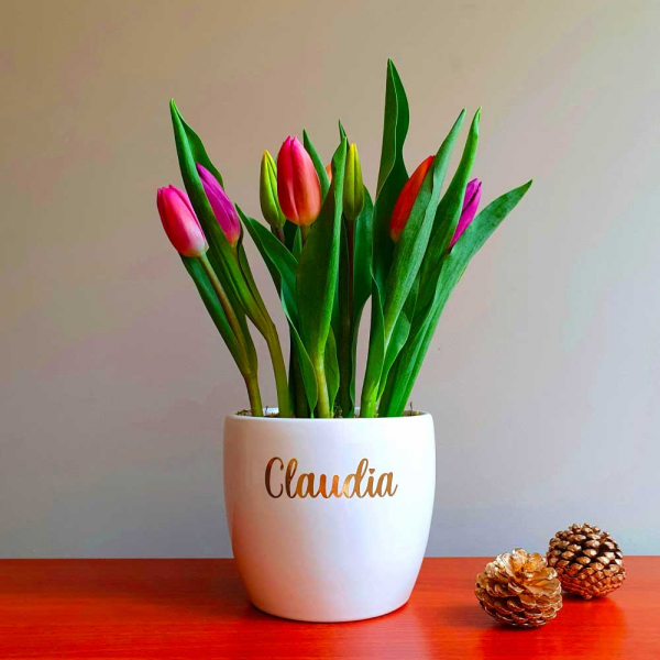 08 tulipanes en una base de cerámica personalizada