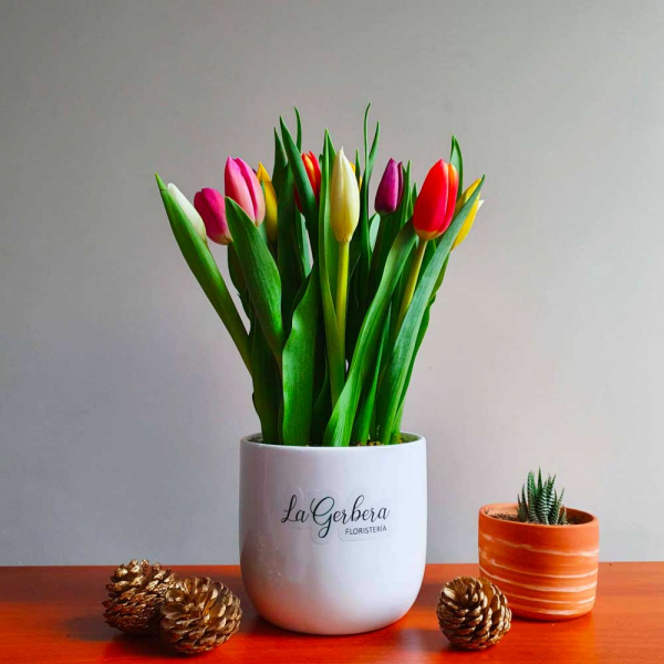 10 tulipanes en una base de cerámica
