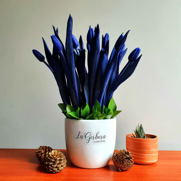 10 tulipanes azules en una base de cerámica blanca